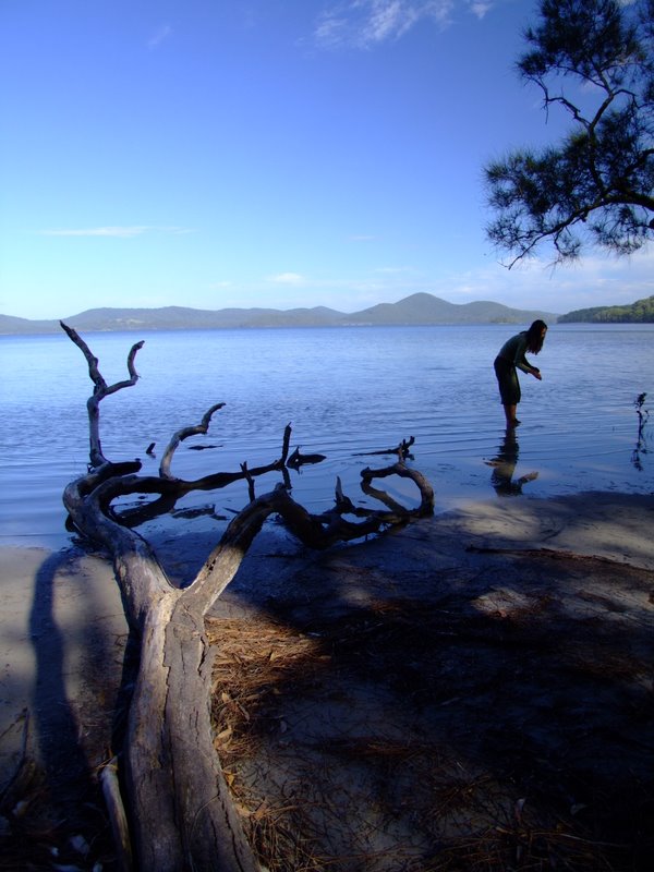 Travel - Australia - Dery Pictures Bush Party - The Lake near Forster